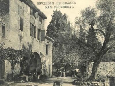 Dans un Jardin de Grasse