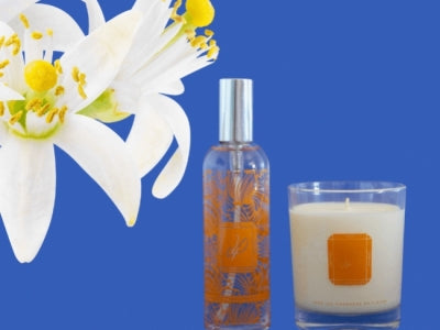 Un parfum d'intérieur à la fleur d'oranger pour une ambiance estivale