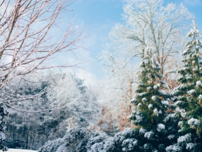 Nos senteurs hivernales