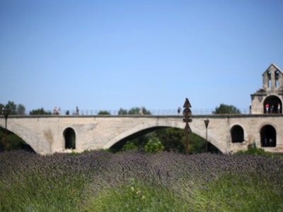 La lavande, un carnet de voyage olfactif en Provence