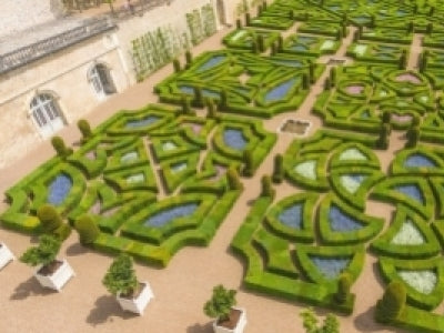 Le parfum du Roi Soleil