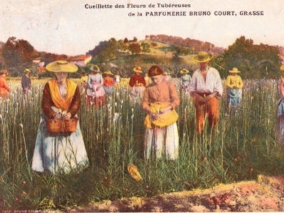 Grasse, quand les parfums cultivent l’histoire…