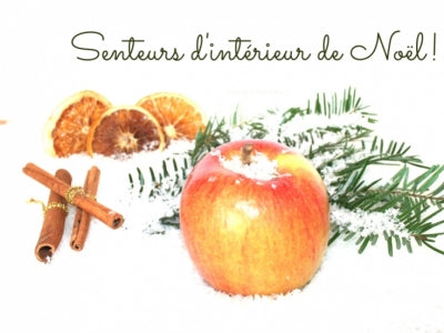 Quel parfum d'intérieur pour les fêtes de Noël ?