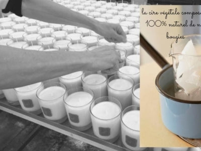 La cire végétale, un composant naturel de nos bougies parfumées