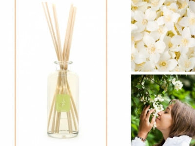 Le jasmin, une fragrance à l’honneur dans notre senteur Dans un jardin de Grasse