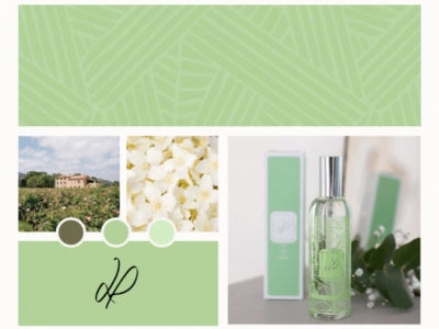 Parfum Jasmin symbole de notre parfum Dans un jardin de Grasse