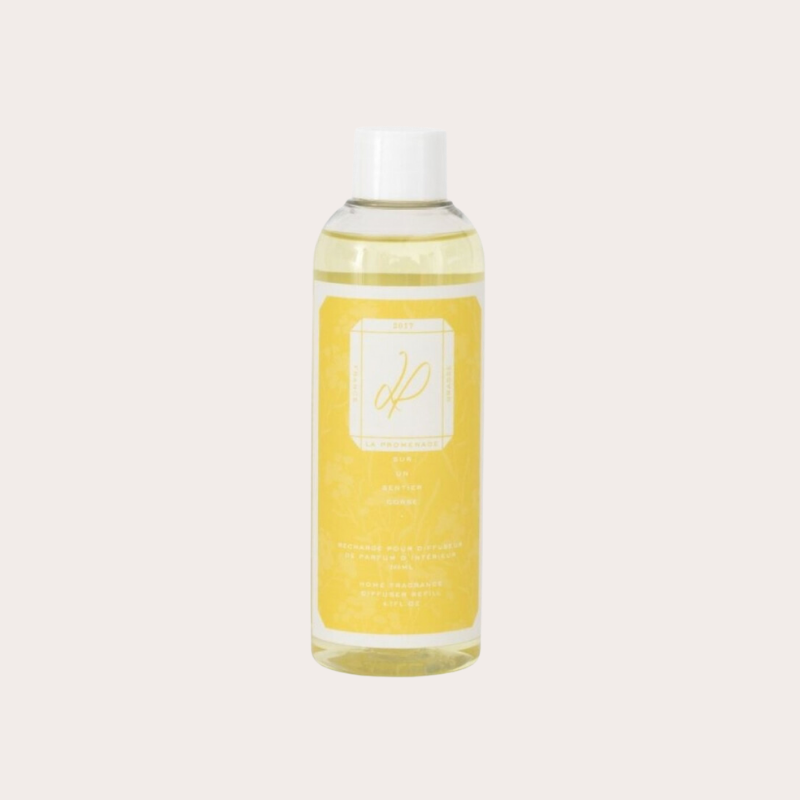 Sur un sentier Corse - Recharge