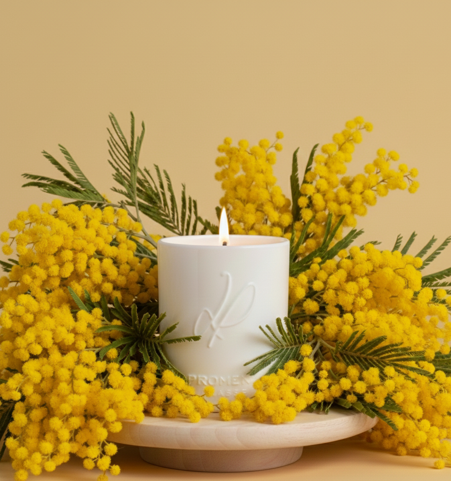 Sur les collines de Mimosa (Céramique)