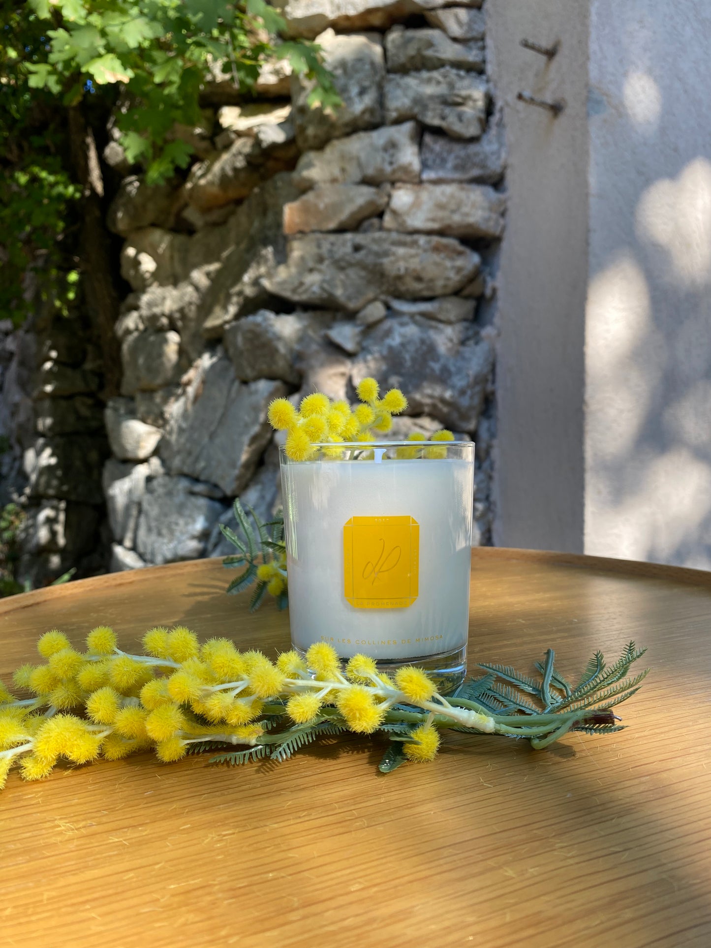 Sur les collines de mimosa