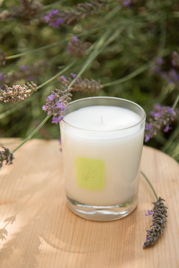 Dans un jardin de Grasse