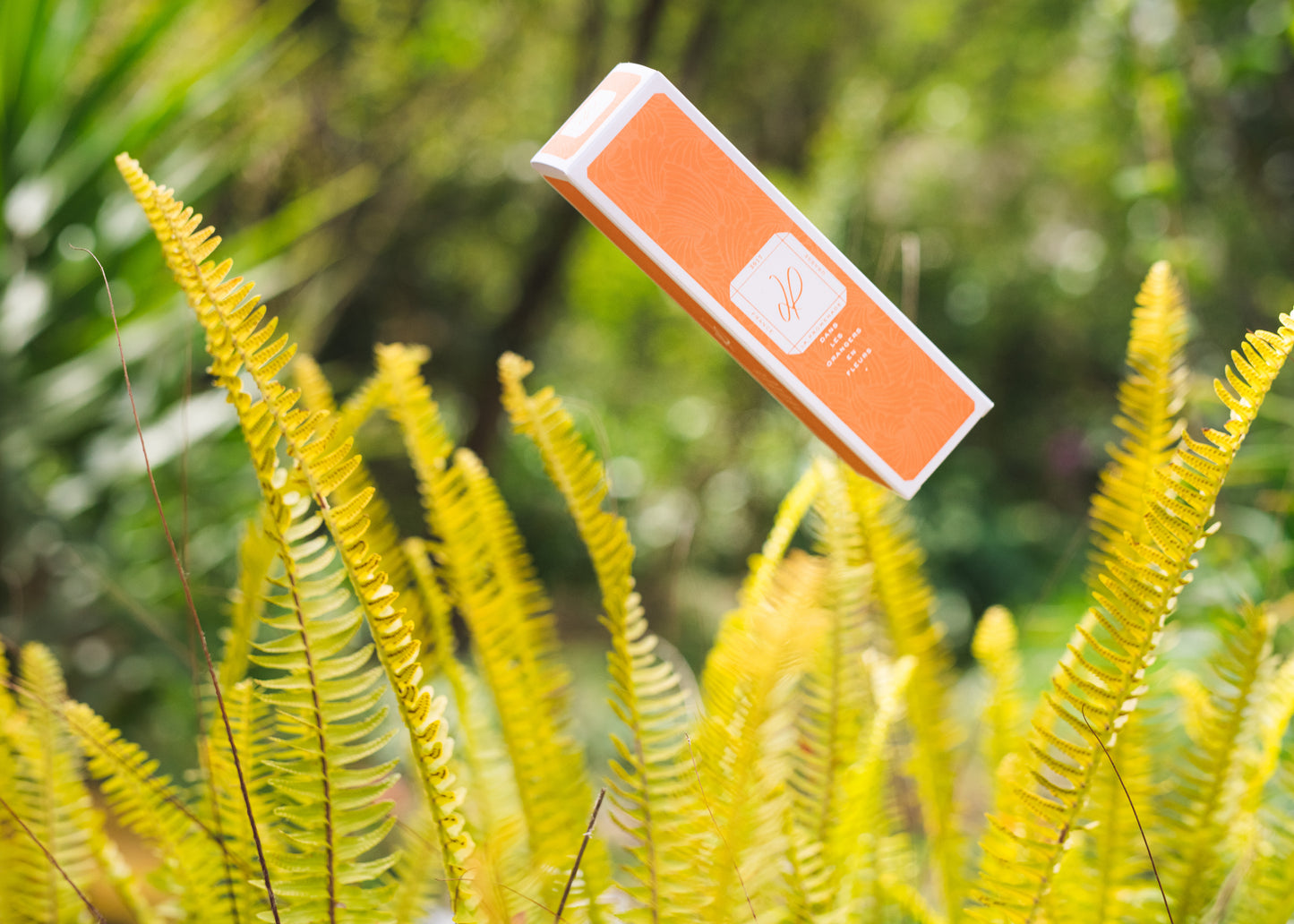 Dans les orangers en fleurs - Spray