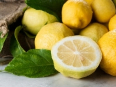 Vénéré, adulé, acidulé, le citron, Roi de Menton