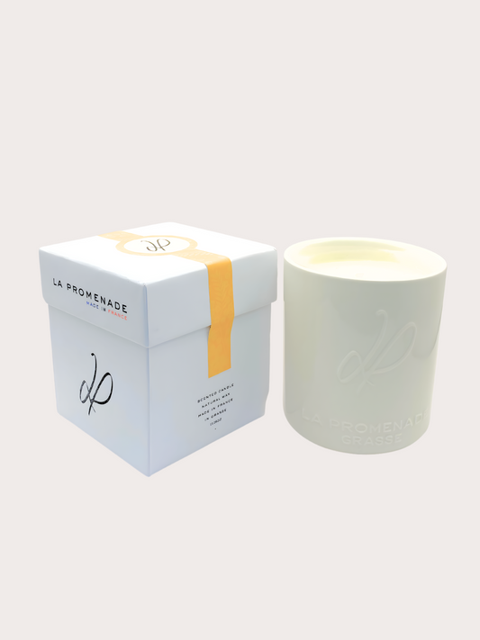 Sur les collines de Mimosa (Céramique)