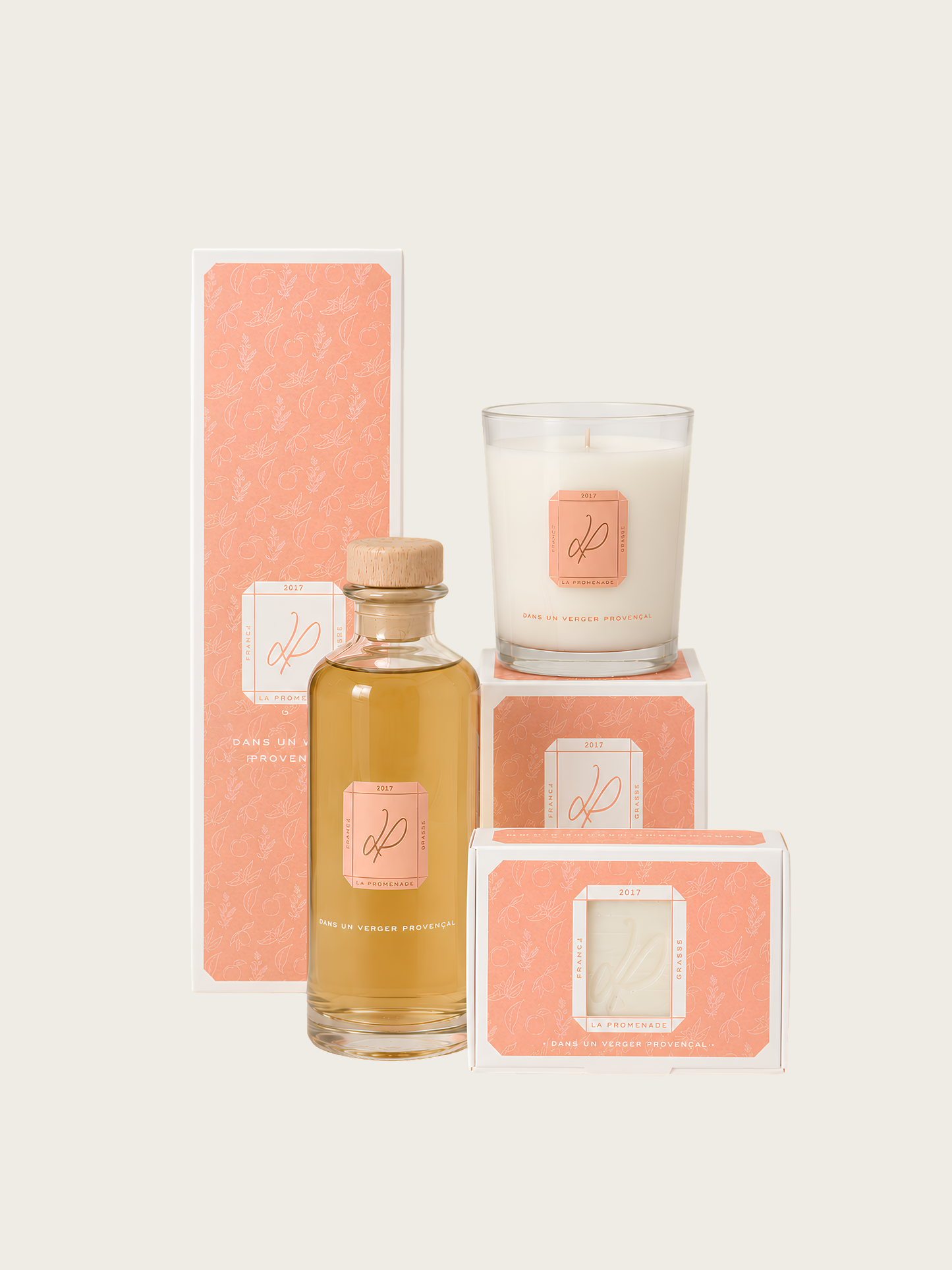 DANS UN VERGER PROVENÇAL - COFFRET