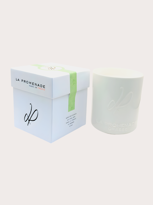 Dans un jardin de Grasse (Céramique)