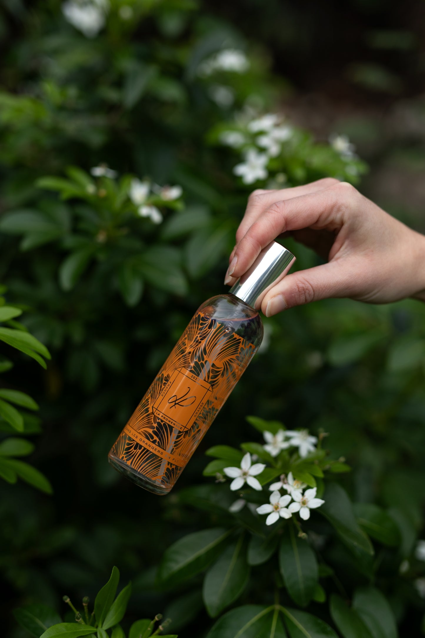 Dans les orangers en fleurs - Spray d'intérieur