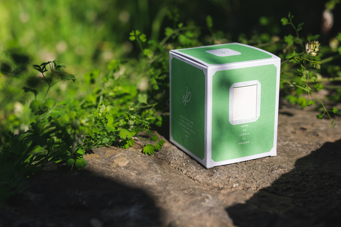 DANS UN JARDIN DE GRASSE - COFFRET