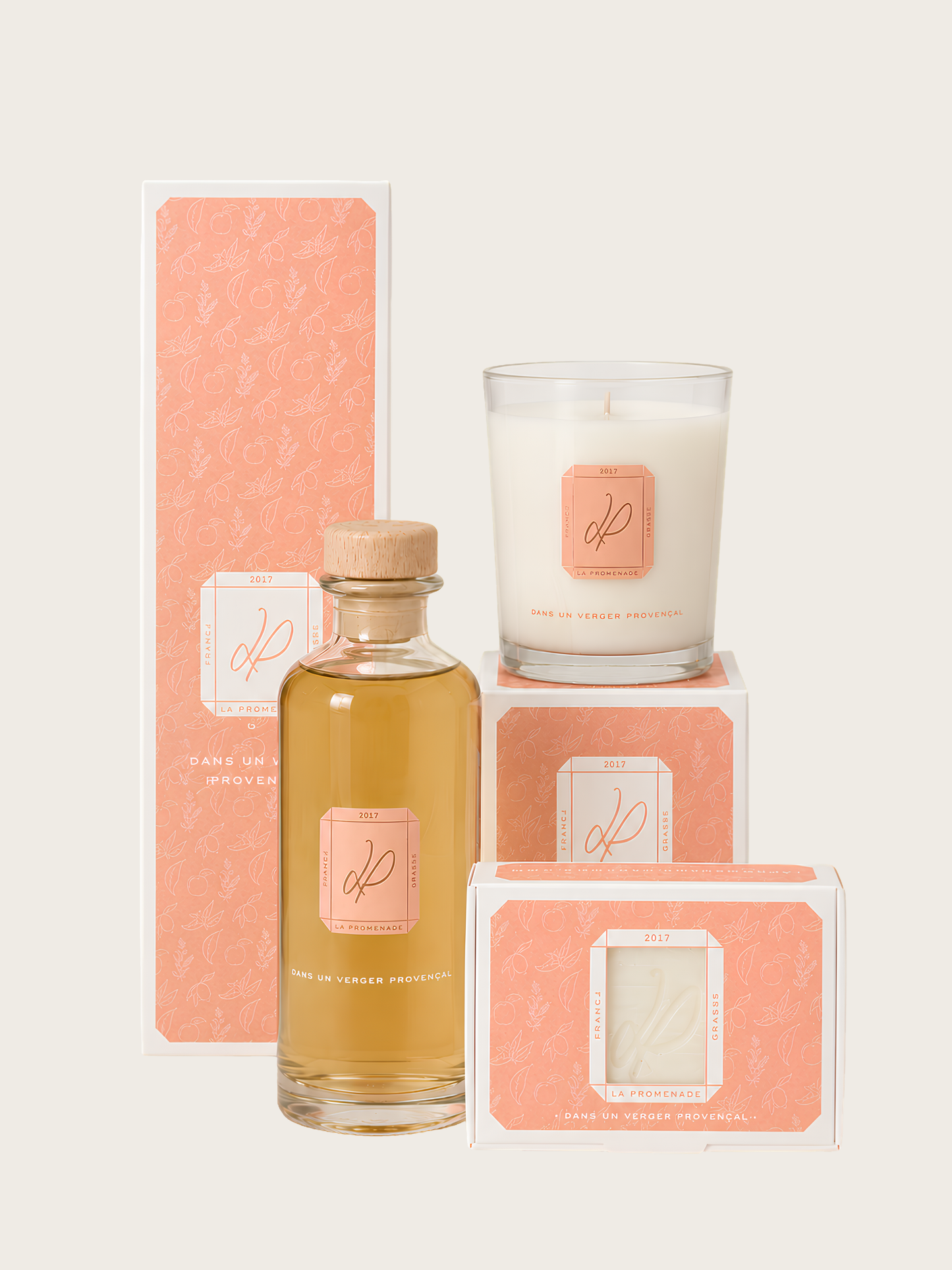 DANS UN VERGER PROVENÇAL - COFFRET